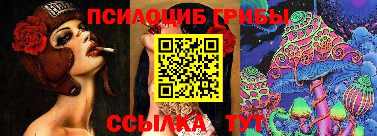 Галлюциногенные грибы MAGIC MUSHROOMS  Псилоцибиновые грибы Psilocybine cubensis  Нижний Новгород  Вход с VPN 