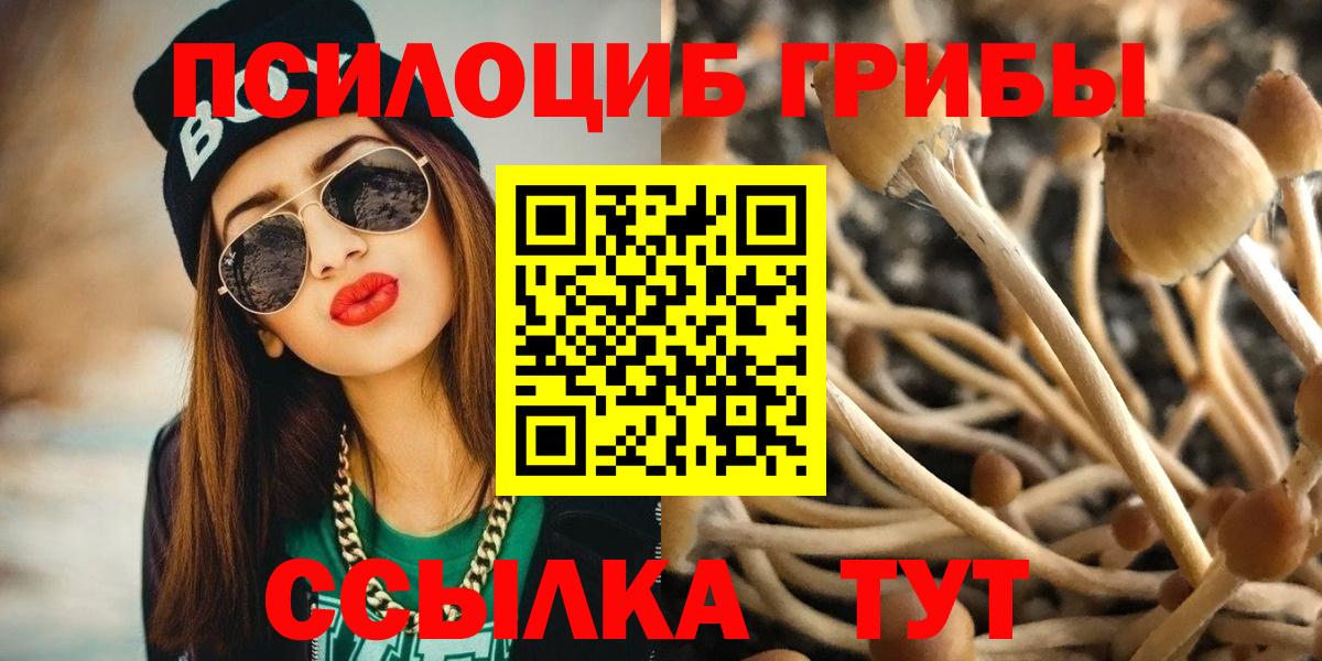 Псилоцибиновые грибы прущие грибы Нижний Новгород